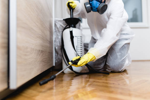 Best Affordable Pest Control Services  in Howard City, MI