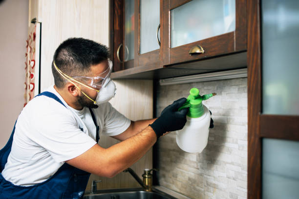 Best Pest Prevention Services  in Howard City, MI