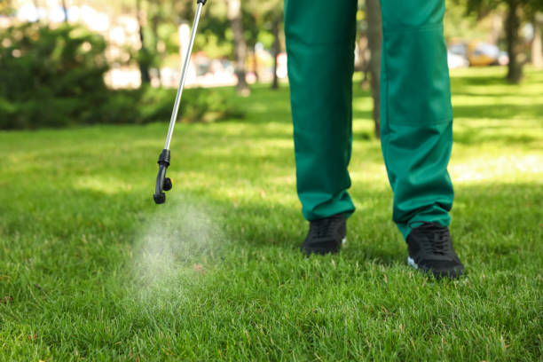 Best Ant Control Services  in Howard City, MI