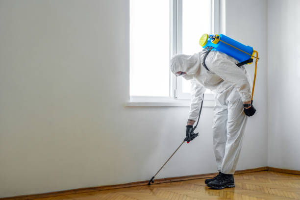 Best Mosquito Control Services  in Howard City, MI