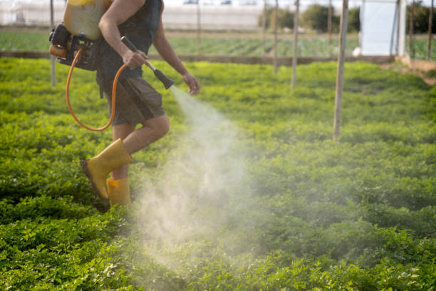 Reliable Howard City, MI Pest Control Solutions