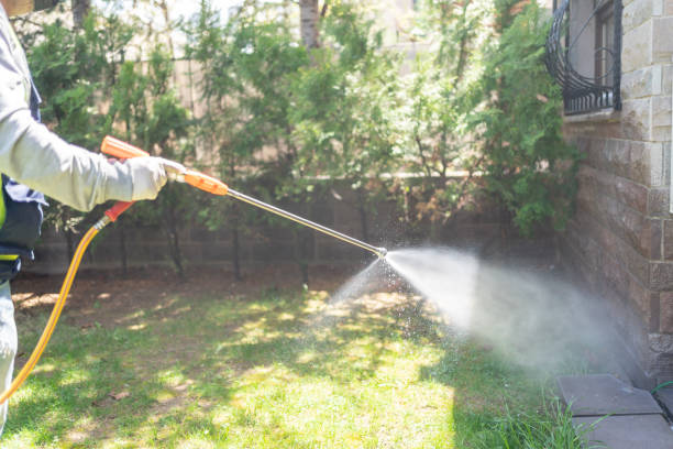 Best Termite Control Services  in Howard City, MI
