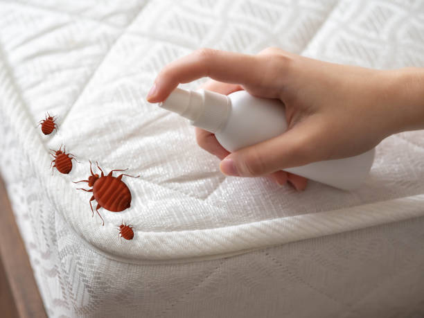 Best Local Pest Control Services  in Howard City, MI