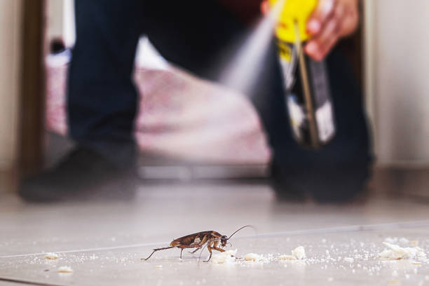 Best Affordable Pest Control Services  in Howard City, MI