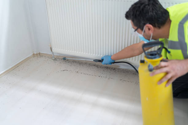 Best Commercial Pest Control Services  in Howard City, MI