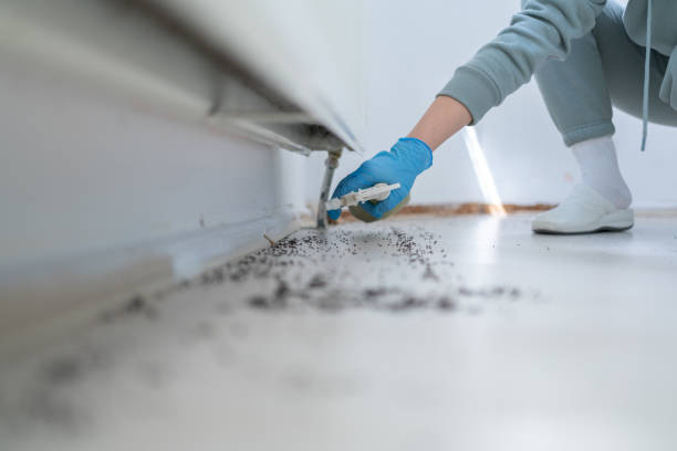 Best Bird Control  in Howard City, MI